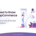 Complete Guide on Nopcommerce Platform